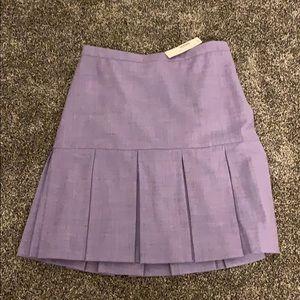 JCrew skirt